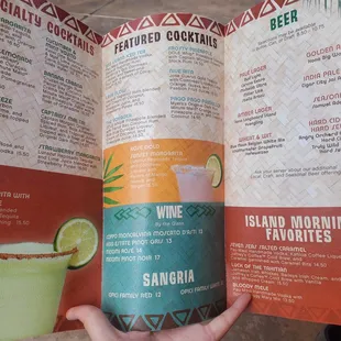 a hand holding a menu