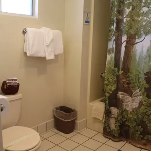 Twin - Bathroom (Shower/Tub combo)