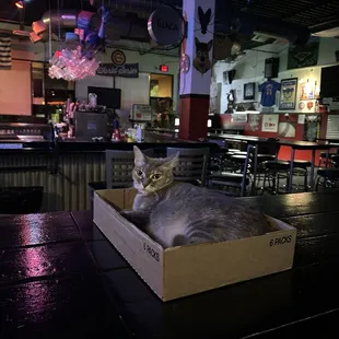 Management dropped by my table