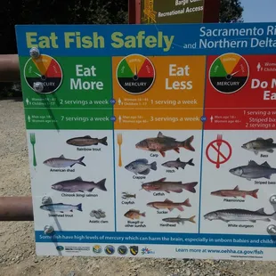 Eat Fish Safely!