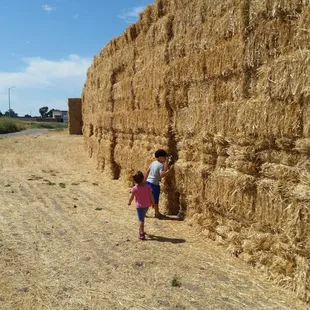 Alongside the trail.