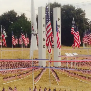 I can't believe I was living there....