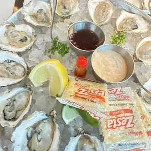 Oysters