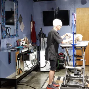 They keep the dogs separate so you don't have to worry about other dogs.