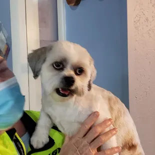 She does a good job around her mouth.