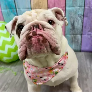 It's an Easter party!