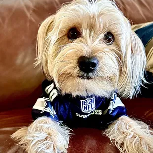 My furry pal and best buddy