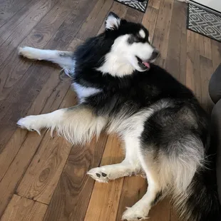 Showing off her good side