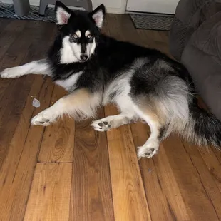 I don't have a before pic but just know she looks 100% better --I will give them that amount of credit