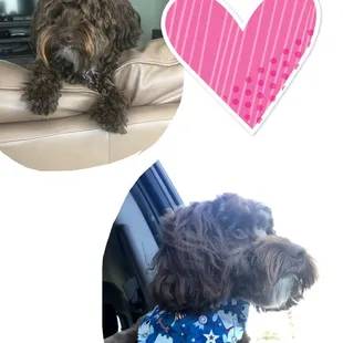 Yay, I can see again!