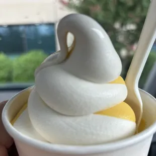 Mango Sorbet
