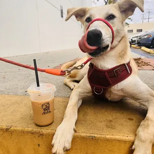 Luna and her coffee