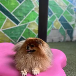 She is loving life in daycare!