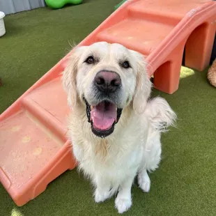Golden hour in daycare!