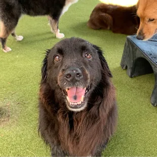 Look at my boys big smile!