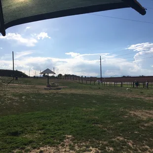 Nice big fenced in space for the dogs to stretch their legs.