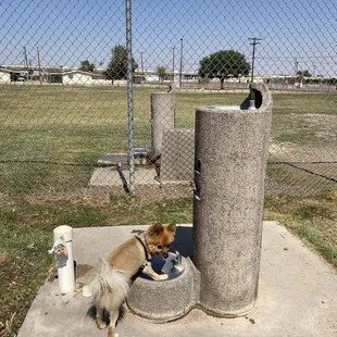 Sancho requesting water.