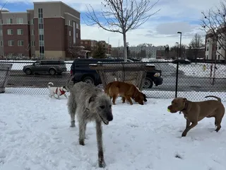 Aksarben Off Leash Dog Park