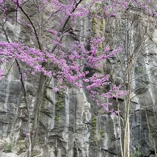 Even the parking lot is pretty