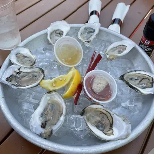 Oysters - super fresh!