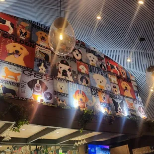 a bar with a disco ball hanging from the ceiling