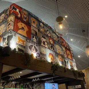 The view when you walk in the restaurant