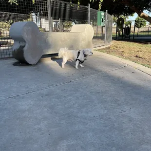 Lots of seating area for the dog ppl family ..