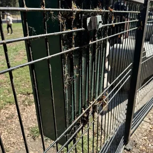 Pretty disgusting.  Place needs a fresh pressure washer at least once a month.