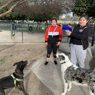 Zoey waiting for the ball to be launched by the Nerf gun