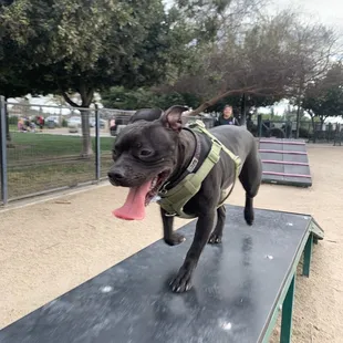 the best part of this park