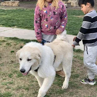 It's a kid friendly park