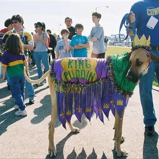 Slurped from the internet.