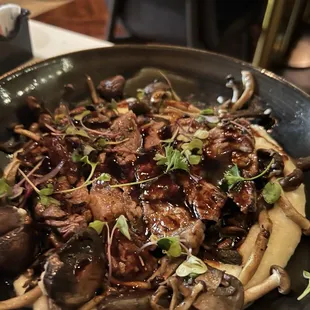 Wild Mushrooms