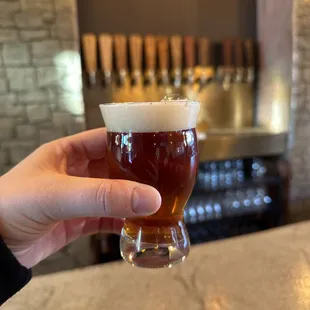 a hand holding a glass of beer