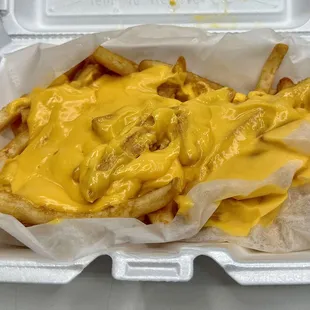 Cheddar cheese fries