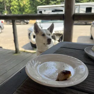 Outside dog-friendly patio