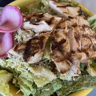 - Caesar with Grilled Chicken Salad