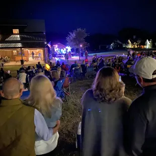 a crowd of people watching a concert