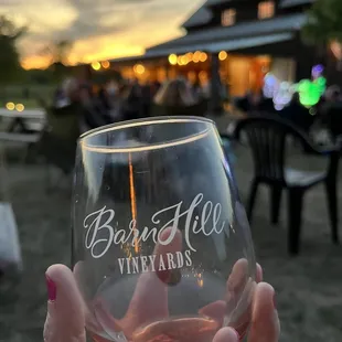 a person holding a glass of wine