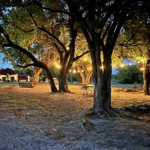 The grounds all lit up