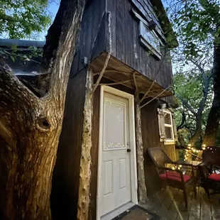 The Treehouse