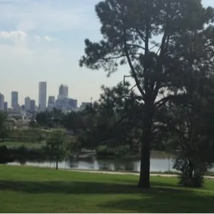 View of downtown from the park