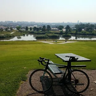 Park with Denver skyline in background