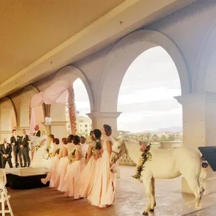 Our unicorn as a brides maid / wedding 

Attending birthday parties, weddings, school visits, photography sessions, Event ent...