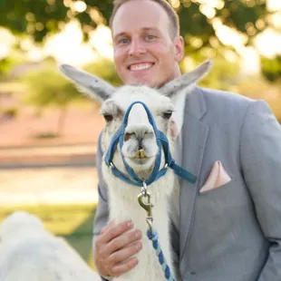 Alpaca &amp; Llama Rentals for special appearances. Attending birthday parties, weddings, school visits, photography sessions, Ev...