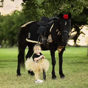 pony rentals for birthday party, event rentals, and more