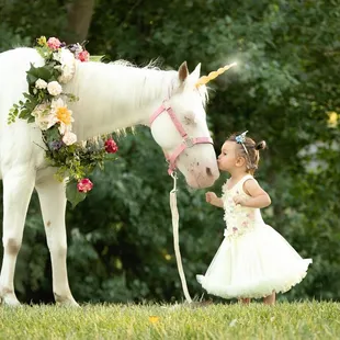 Unicorn Rentals for special appearances. Attending birthday parties, weddings, school visits, photography sessions, Event ent...