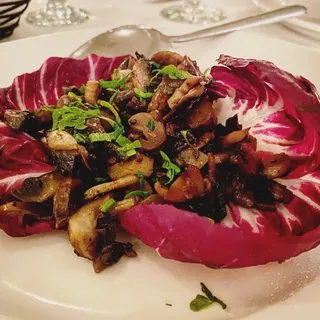 Funghi di Bosco