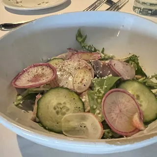 Insalata di Rucola