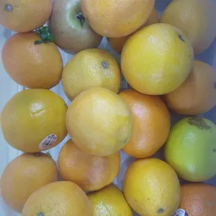 Valencia oranges for  juicing and other stuff:)